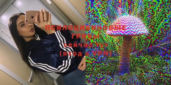 ГАЛЛЮЦИНОГЕННЫЕ ГРИБЫ Алексеевка