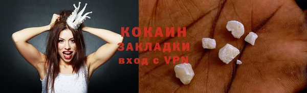 ПСИЛОЦИБИНОВЫЕ ГРИБЫ Арсеньев