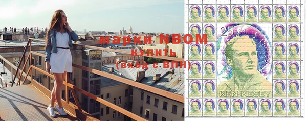 индика Покачи