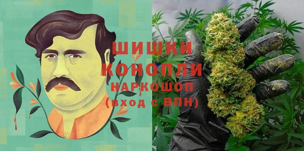 ПСИЛОЦИБИНОВЫЕ ГРИБЫ Арсеньев