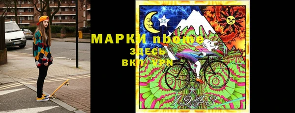 ПСИЛОЦИБИНОВЫЕ ГРИБЫ Арсеньев