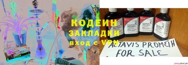 ПСИЛОЦИБИНОВЫЕ ГРИБЫ Арсеньев