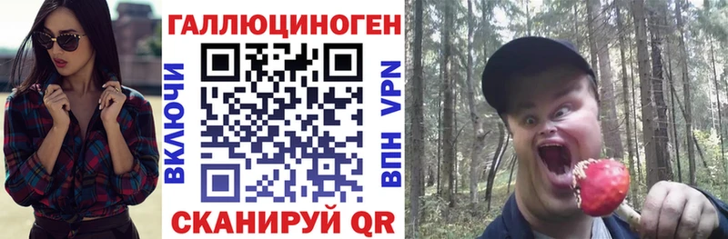 закладка  Пустошка  Галлюциногенные грибы Cubensis 